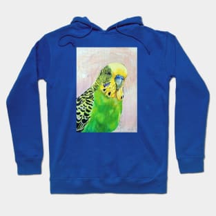 Dean, the green Budgie Hoodie